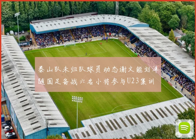 泰山队未归队球员动态谢文能刘洋随国足备战六名小将参与U23集训