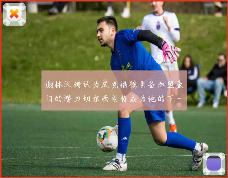 谢林汉姆认为皮克福德具备加盟豪门的潜力切尔西或将成为他的下一个选择