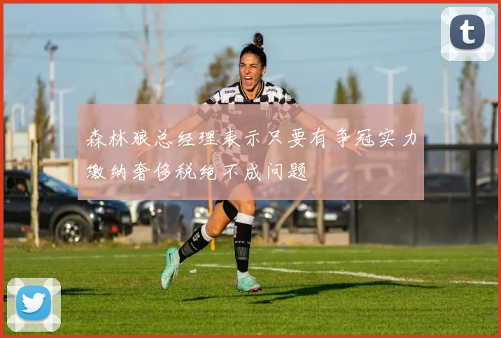 森林狼总经理表示只要有争冠实力缴纳奢侈税绝不成问题